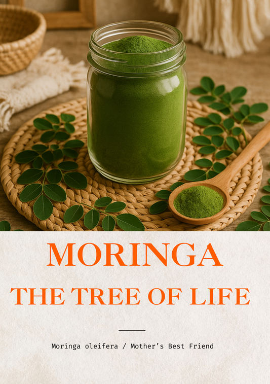 The Temple Detox™ A 7-Week Holistic Reset for Beauty Professionals