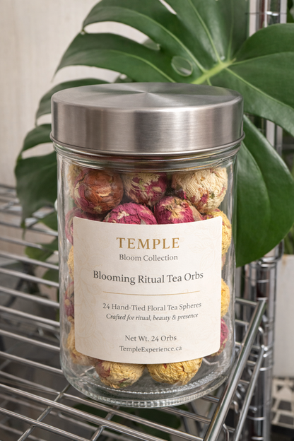Jar of Temple Bloom Collection Blooming Ritual Tea Orbs with a plant in the background
