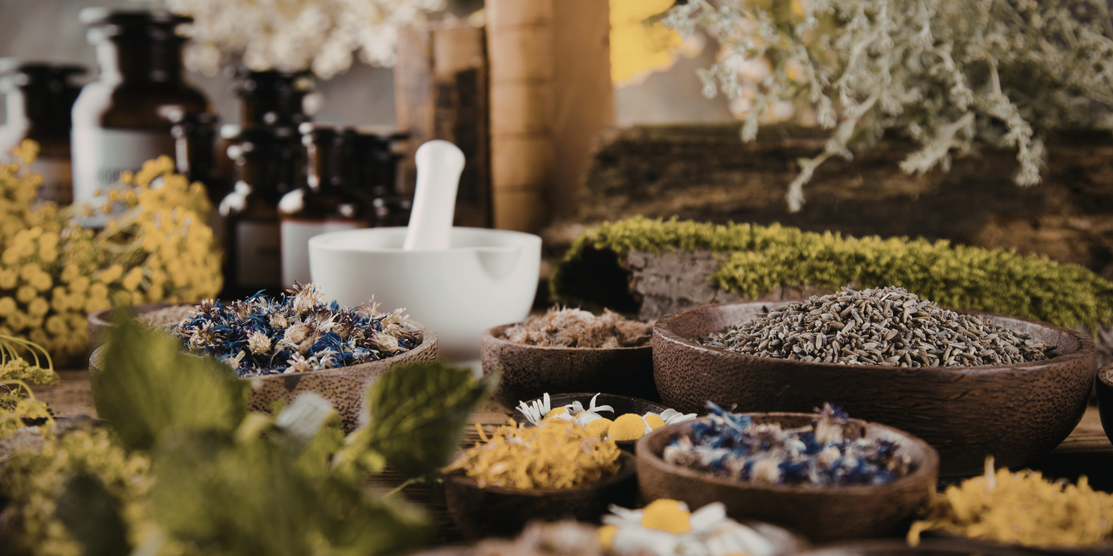 Herbal remedies with bowls of dried herbs and a mortar and pestle on a wooden surface.